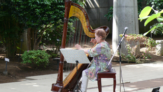 SilkyHarp1