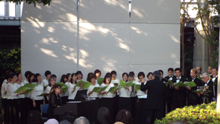 コールカンパニーレ