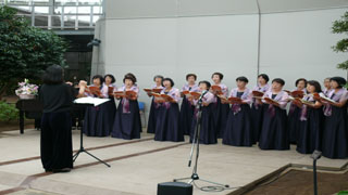 グリーンエコー